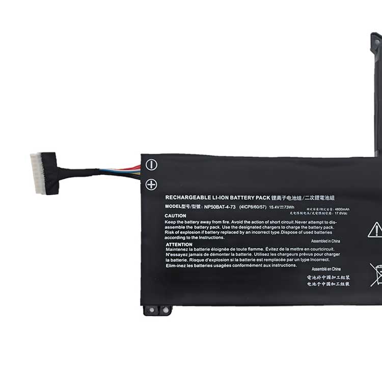 Clevo NP7861C Batterie