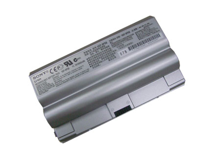 VGP-BPS8