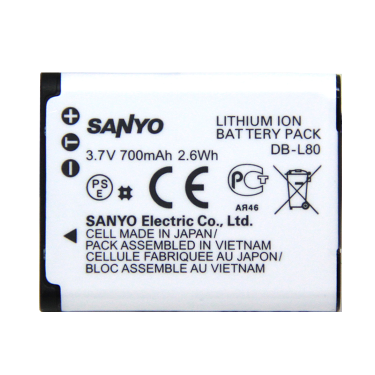 SANYO VPC-CS1 Batterie